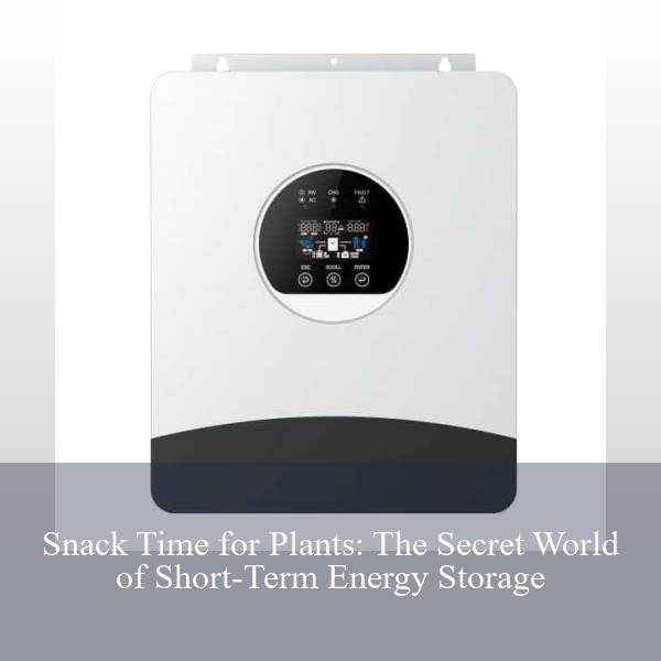 Snack Time for Plants: The Secret World of Short-Term Energy Storage